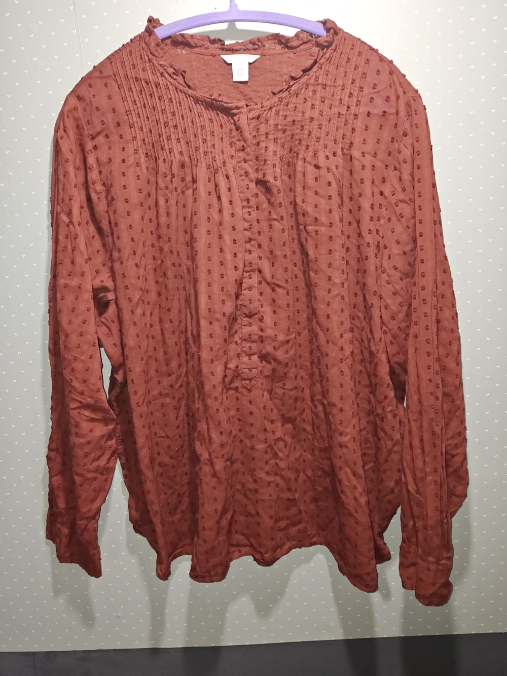 Anthropologie Rust Textured Long-Sleeve Shirt 22